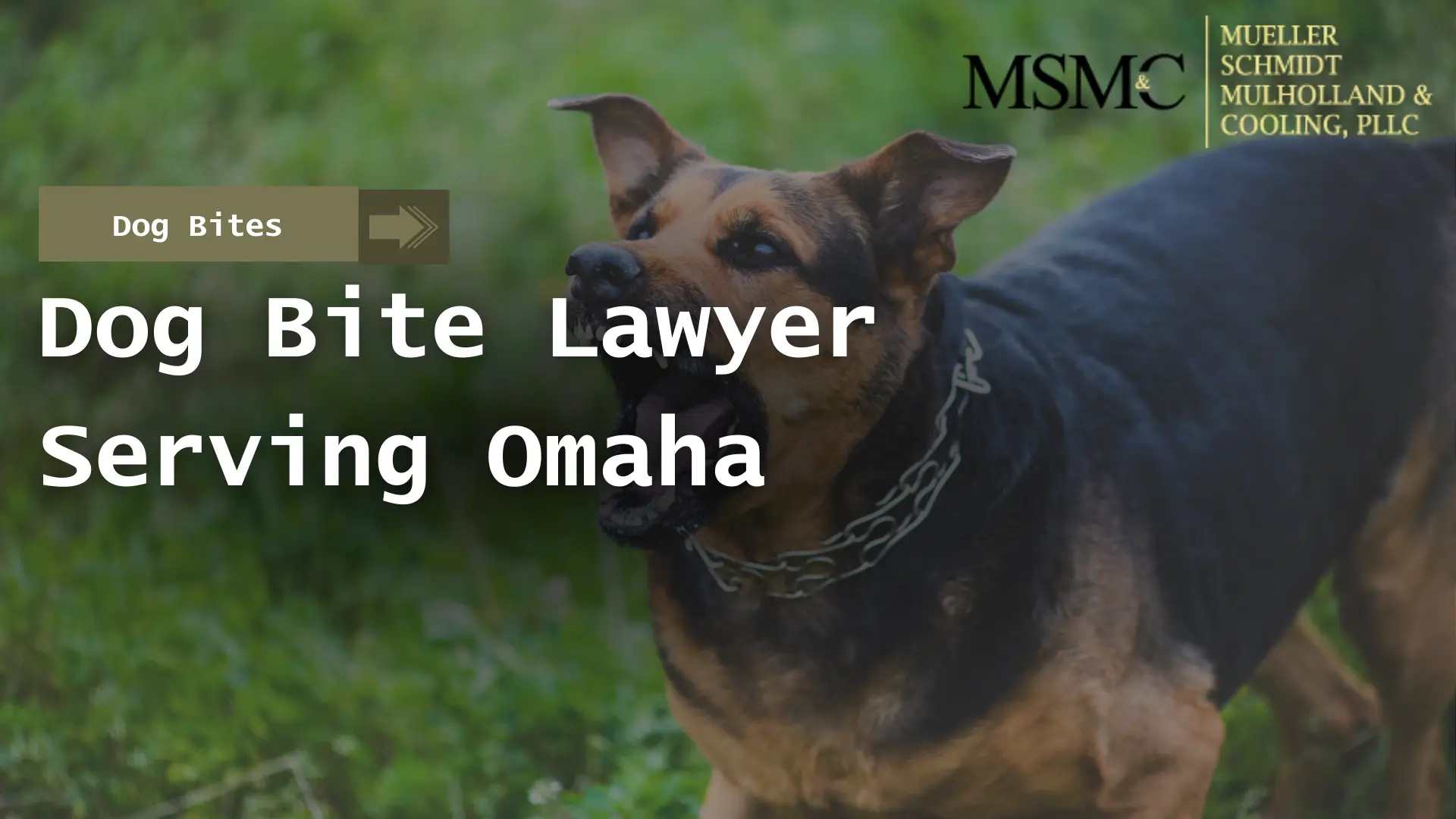 Dog Bite Lawyer Serving Omaha